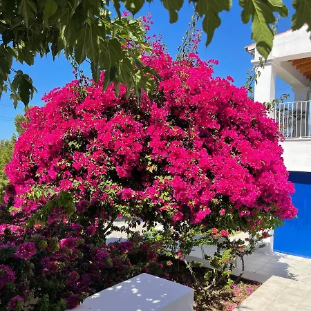 Es Queixal - Can Canet * Cala Vadella (Ibiza)