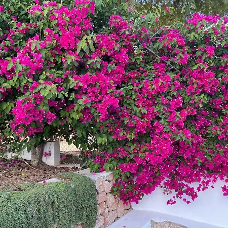 Holiday home Es Queixal - Can Canet