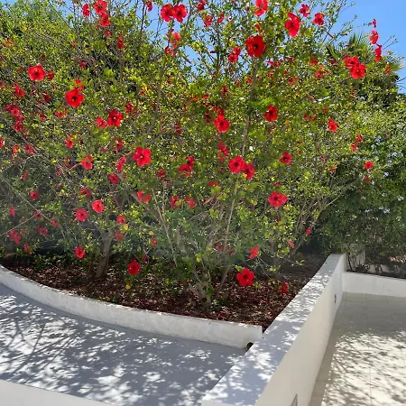 Hébergement de vacances Es Queixal - Canet Con Piscina Exterior Climatizada *