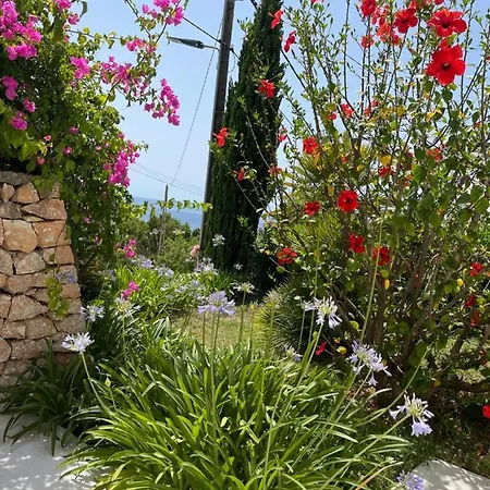 Es Queixal - Canet Con Piscina Exterior Climatizada Vakantiehuis Cala Vadella (Ibiza)